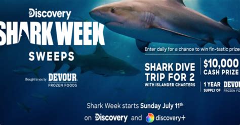 freebieshark.com sweepstakes|FreebieShark.com .